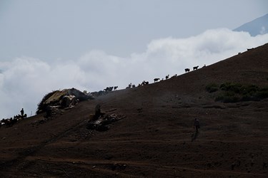 مرتع کندرود در ارتفاعات ییلاقی کوهستان چالوس  