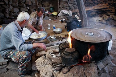 »سَواگَری دام »در مراتع ییلاقی چالوس 