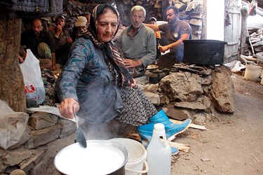 »سَواگَری دام »در مراتع ییلاقی چالوس 