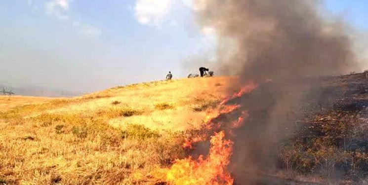 معرفی ۳۶۷ نفر به دستگاه قضایی در لرستان به خاطر آتش زدن کاه و کلش مزارع