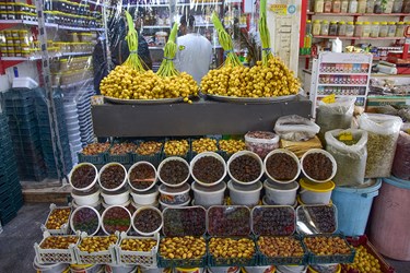 برداشت خارک و رُطب در گرمترین شهر جهان«آبادان»