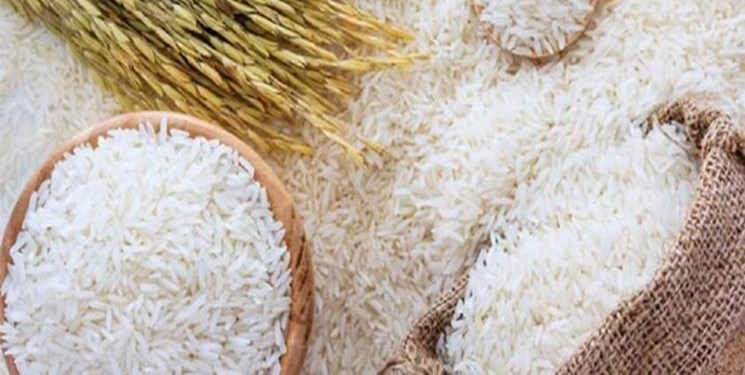 خرید بیش از ۳ هزار تن برنج پرمحصول در مازندران