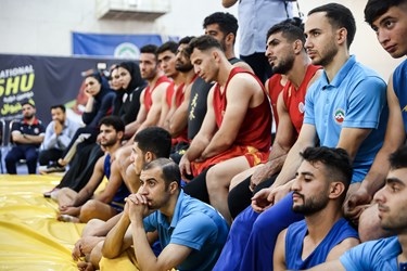 بازدید سرپرست وزارت ورزش از تمرین تیم ملی ووشو