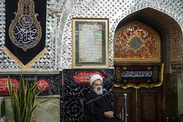 سخنرانی حجت الاسلام مهدی دانشمند در آئین غبار روبی ضریح امامزاده صالح(ع) توسط اصحاب رسانه