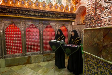 آئین غبار روبی ضریح امامزاده صالح(ع) توسط اصحاب رسانه