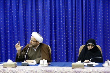 انسیه خزعلی معاون امور زنان ریاست جمهوری در  جلسه شورای عالی انقلاب فرهنگی