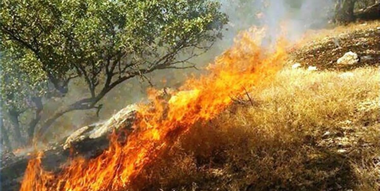 ۱۴ هکتار از منابع طبیعی پل‌دختر در آتش سوخت