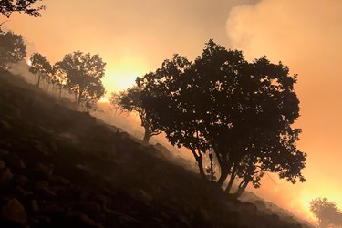 آتش سوزی در منطقه «سردره» پاوه
