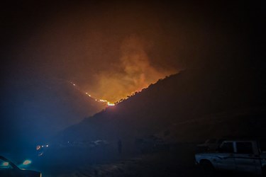 آتش سوزی در منطقه «سردره» پاوه