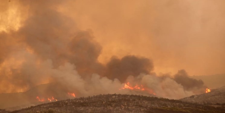 کشف 18 جسد در جریان آتش سوزی‌ جنگل‌‌های یونان