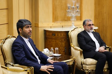 بازگشت رئیس جمهور از آفریقای جنوبی