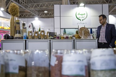 دستاوردهای دولت  درسومین روز نمایشگاه «روایت خدمت»