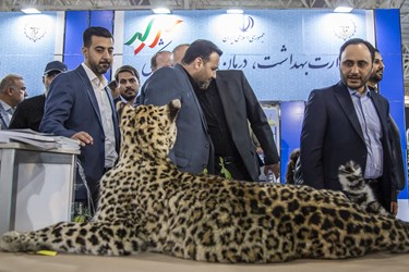 بازدید علی بهادری جهرمی سخنگو دولت ازسومین روز نمایشگاه «روایت خدمت»