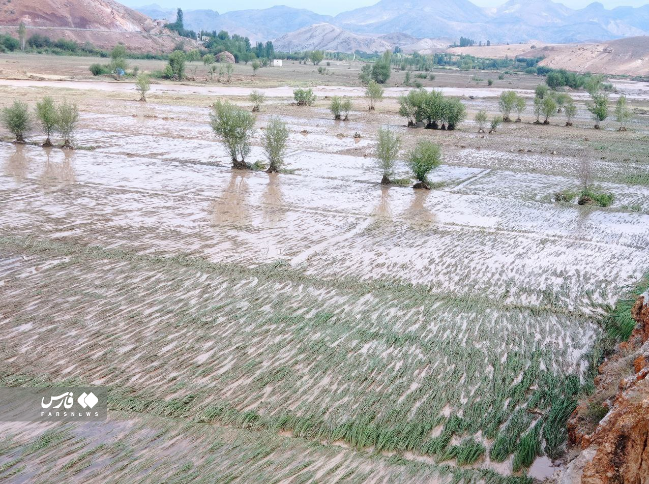 خسارت سیل به 14 روستای مشکین‌شهر + عکس