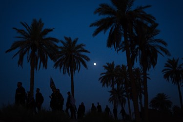 در هوایت بی‌قرارم روز و شب...