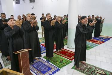 پیاده روی زائران حسینی از مسیب تا کربلا