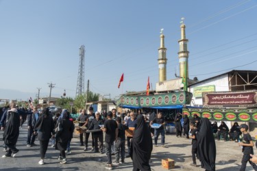 پیاده روی دلدادگان اربعین