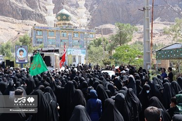 پیاده روی جاماندگان اربعین حسینی در کرمان