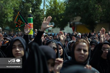 راهپیمایی جاماندگان اربعین در «ایران» /چهارمحال و بختیاری