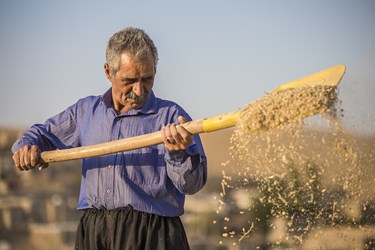 خه رمانان (برداشت خرمن)