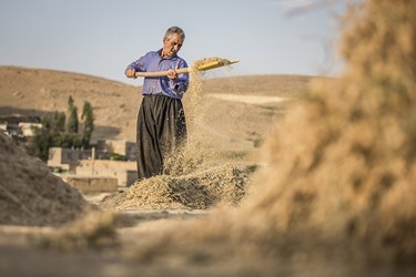 خه رمانان (برداشت خرمن)