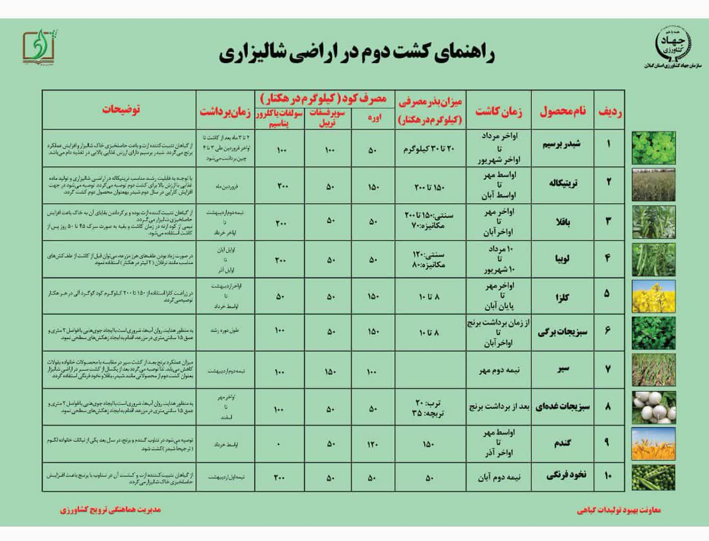 اراضی حاصلخیز گیلان منتظر همت کشاورزان برای کشت دوم