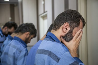 دستگیری سارقین منزل