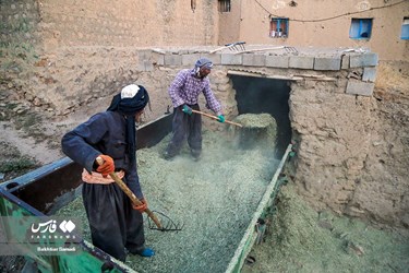 Iran’s Wheat Output Reaches Milestone of 10 Million mt