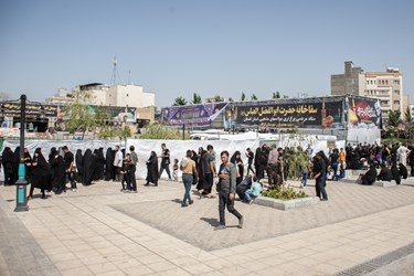 گزارش تصویری فعالیت هیات مهدویون گرگان در مشهد