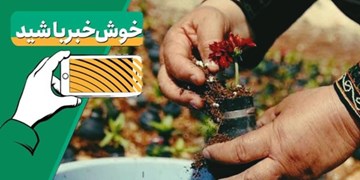 خبرخوب|مادری که آتش جنگ را گلستان کرد!
