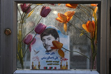قاب عکس شهیدان در مزار شهدا -قطعه 24 بهشت زهرا(س)