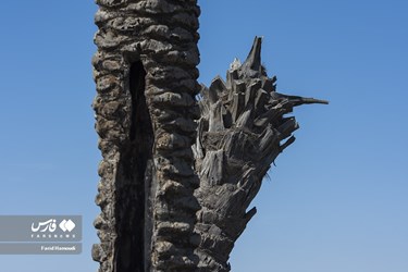 Land of Headless Palms, A Symbol of Iranian Resistance in Iraqi Imposed War
