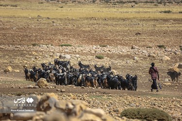 Iran: Bakhtiari Nomads Life