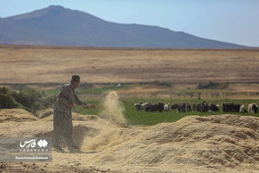 Iran: Bakhtiari Nomads Life