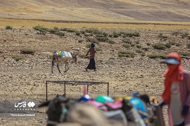 Iran: Bakhtiari Nomads Life