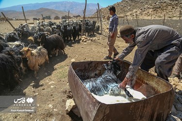 Iran: Bakhtiari Nomads Life