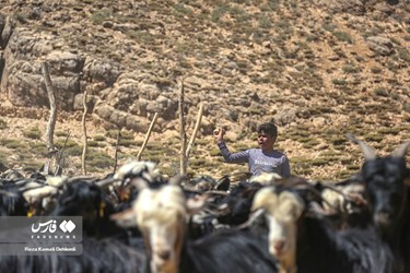 Iran: Bakhtiari Nomads Life