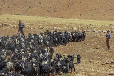 Iran: Bakhtiari Nomads Life