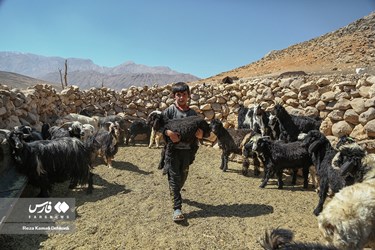 Iran: Bakhtiari Nomads Life