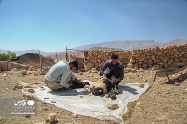 Iran: Bakhtiari Nomads Life