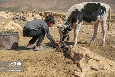 Iran: Bakhtiari Nomads Life