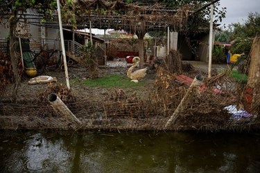 Cleanup in Greece after Storm Daniel