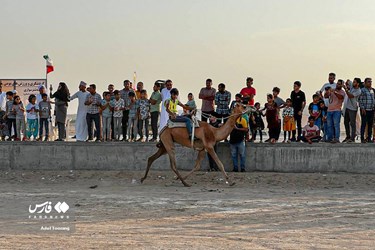 Iran: Camel Racing in Qeshm Island