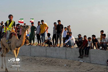 Iran: Camel Racing in Qeshm Island