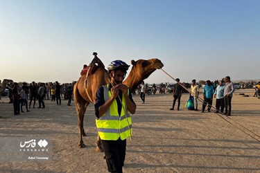 Iran: Camel Racing in Qeshm Island