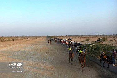 Iran: Camel Racing in Qeshm Island