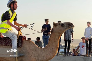 Iran: Camel Racing in Qeshm Island