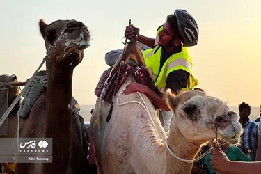 Iran: Camel Racing in Qeshm Island