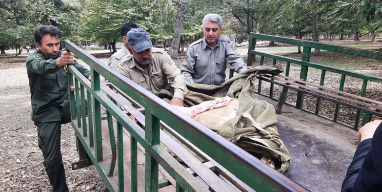 انتقال گوزن زرد ایرانی از مازندران به اردبیل