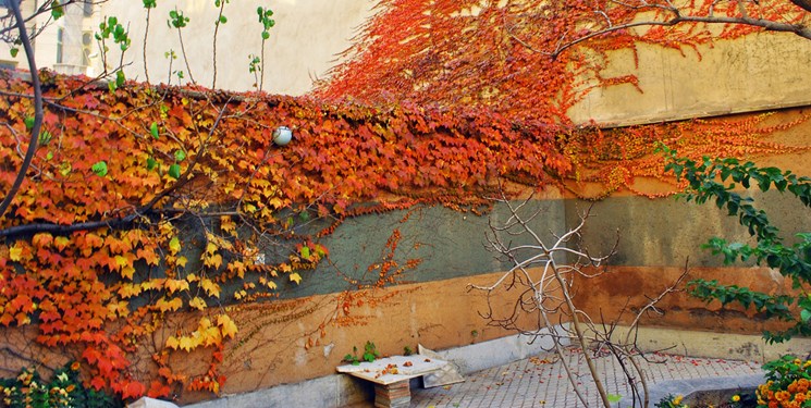 تنفس هوای مطلوب طی ۱۵ روز نخست پاییز در تهران